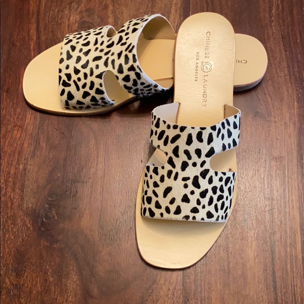 Brand New Chinese Laundry slides
